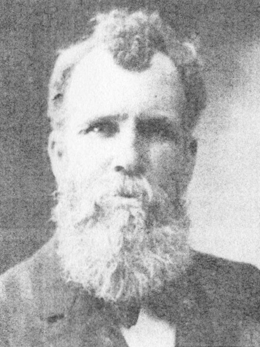 Alfred Gill (1847 - 1930) Profile
